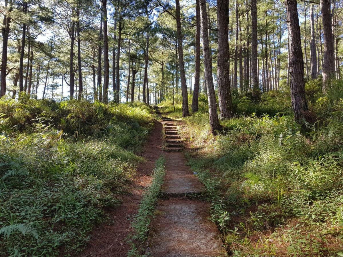 Hotel Banga-An Bnb And Coffee House Sagada Zewnętrze zdjęcie